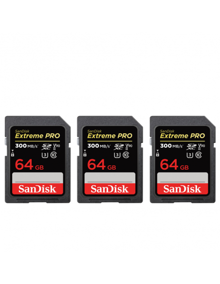 Canon EOS R5 Mark II + RF 28-70mm f/2 L USM + 3 SanDisk 64GB Extreme PRO UHS-II SDXC 300 MB/s|MCZ DIRECT