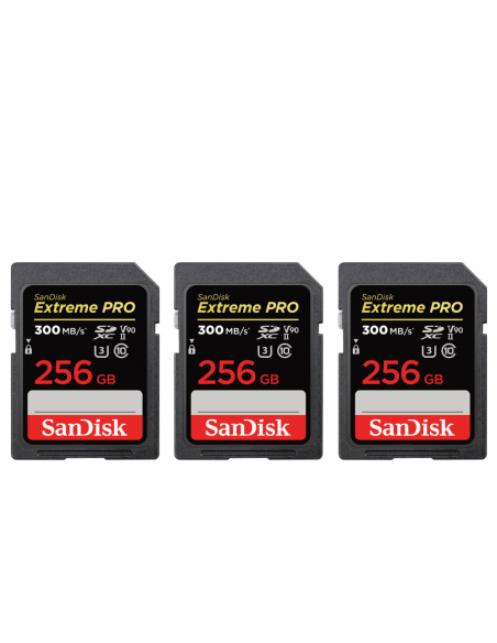Canon EOS R5 Mark II + RF 50mm f/1.2 L USM + 3 SanDisk 256GB Extreme PRO UHS-II SDXC 300 MB/s|MCZ DIRECT