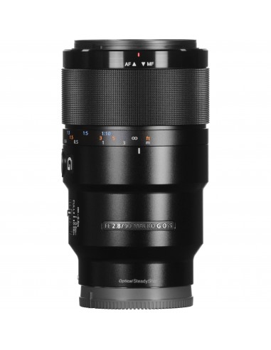 Sony alpha 1 II + FE 90mm f/2.8 Macro G OSS + 1 SanDisk 64GB Extreme PRO UHS-II SDXC + Sony NP-FZ100