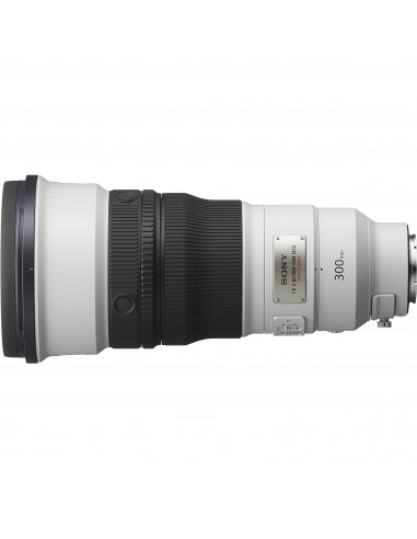 Sony alpha 1 II + FE 300mm f/2.8 GM OSS + 1 SanDisk 64GB Extreme PRO UHS-II SDXC + 2 Sony NP-FZ100 Sony MIRRORLESS CAMERAS €11,067.00 MCZ DIRECT
