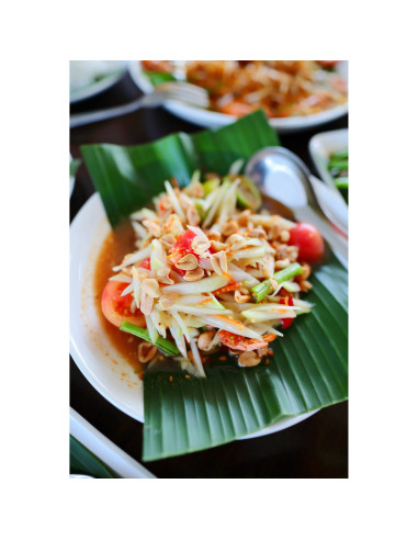 Canon PowerShot V1 – Appareil photo compact 4K vlog