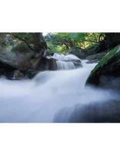 OM System OM-5 Mark II Silver – Cámara sin espejo