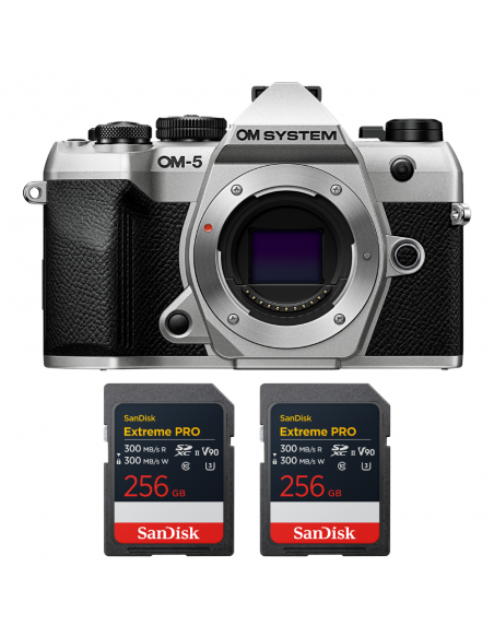 Buy OM-5 Mark II Silver – Compact 4K Mirrorless Camera