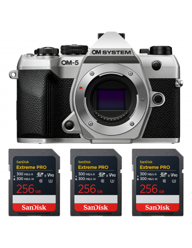 Buy OM-5 Mark II Silver – Compact 4K Mirrorless Camera