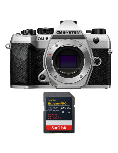Buy OM-5 Mark II Silver – Compact 4K Mirrorless Camera