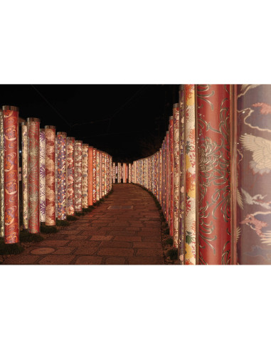 Canon EOS R10 boîtier nu - Appareil Photo Hybride APS-C