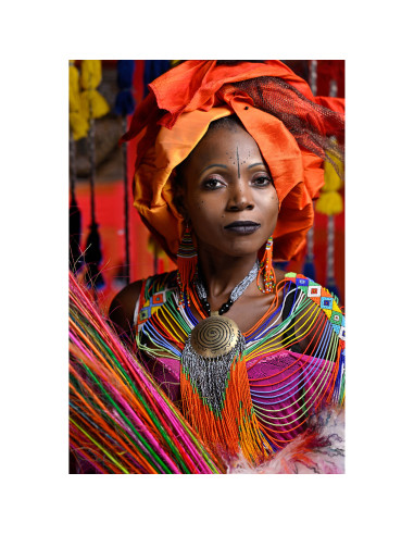 Nikon Z9 Boîtier Nu - Appareil Photo Professionnel