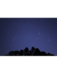 Cielo estrellado con silueta de árboles en primer plano, capturado con Tamron 16-30mm f/2.8 Di III VXD G2 montura Nikon Z Cielo estrellado con silueta de árboles en primer plano, capturado con Tamron 16-30mm f/2.8 Di III VXD G2 montura Nikon Z