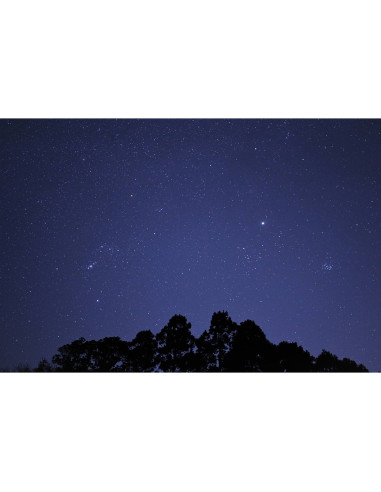 Tamron 16-30mm f/2.8 Di III VXD G2 for Nikon Z Mount|MCZ DIRECT