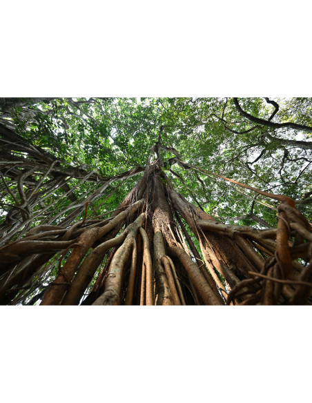 Tamron 16-30mm f/2.8 Di III VXD G2 for Nikon Z Mount|MCZ DIRECT Tamron 16-30mm f/2.8 Di III VXD G2 for Nikon Z Mount|MCZ DIRECT