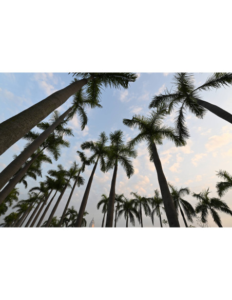 Tamron 16-30mm f/2.8 Di III VXD G2 for Nikon Z Mount|MCZ DIRECT Tamron 16-30mm f/2.8 Di III VXD G2 for Nikon Z Mount|MCZ DIRECT