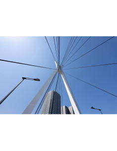 Pont moderne sous un ciel bleu avec des câbles tendus et des bâti, capture au Tamron 16-30mm f/2.8 Di III VXD G2 pour Nikon Z Pont moderne sous un ciel bleu avec des câbles tendus et des bâti, capture au Tamron 16-30mm f/2.8 Di III VXD G2 pour Nikon Z