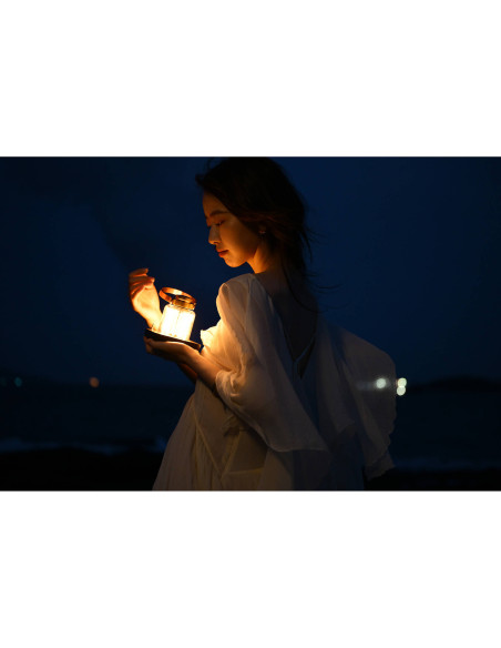 Nikon Z 24-70mm f/2.8 S II - Zoom pro plein format