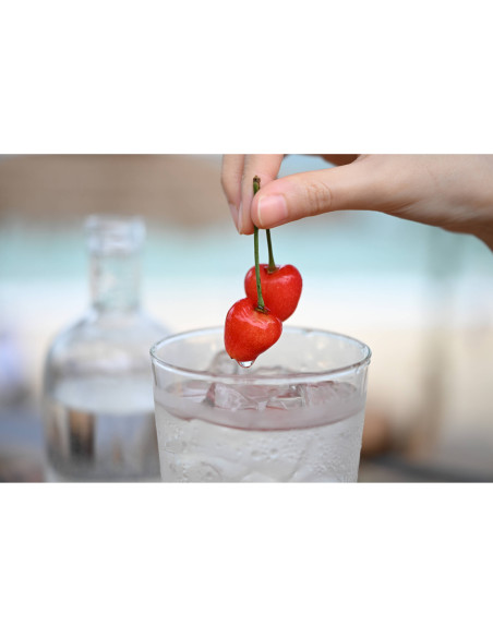 Nikon Z 24-70mm f/2.8 S II - Zoom pro plein format