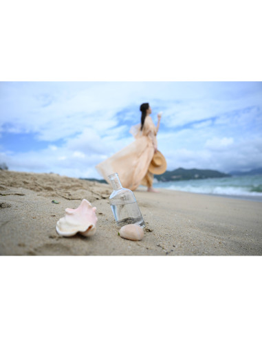 Nikon Z 24-70mm f/2.8 S II – Pro-Grade Standard Zoom