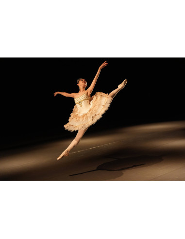 Sony FE 28-70mm f/2 GM – Zoom premium plein-format