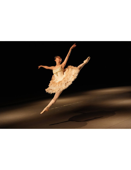 Sony FE 28-70mm f/2 GM – Premium Standard Zoom Lens