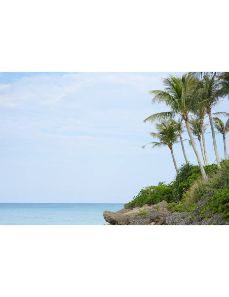 Sony FE 50-150 mm f/2 GM | Zoom Profesional Sony E