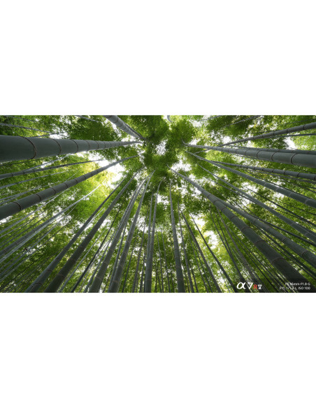 Sony FE 16mm f/1.8 G Lens – Ultra Wide & Fast