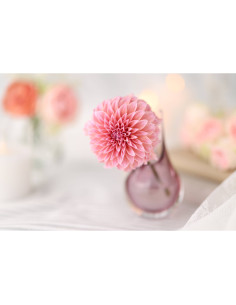 A soft pink flower in a delicate vase, with blurred pastel blooms in the backgr, captured with Canon RF 85mm f/1.4 L VCM Lens A soft pink flower in a delicate vase, with blurred pastel blooms in the backgr, captured with Canon RF 85mm f/1.4 L VCM Lens