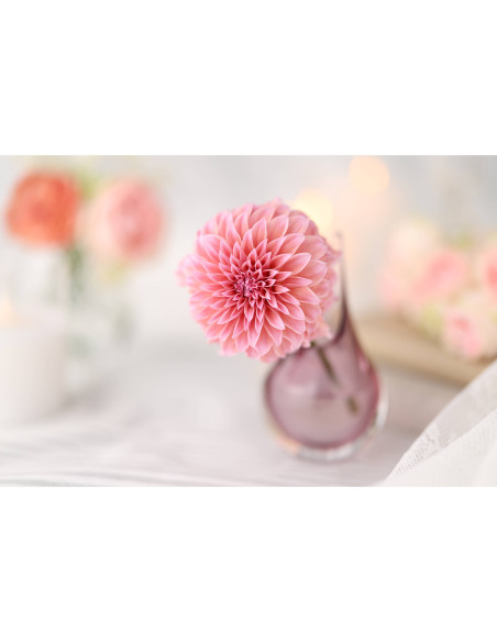 Canon RF 85mm f/1.4 L VCM – Objectif premium série L