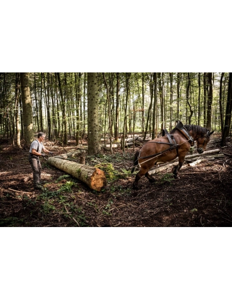 Fujifilm XF 16-55mm f/2.8 WR II – Zoom Pro para Fuji