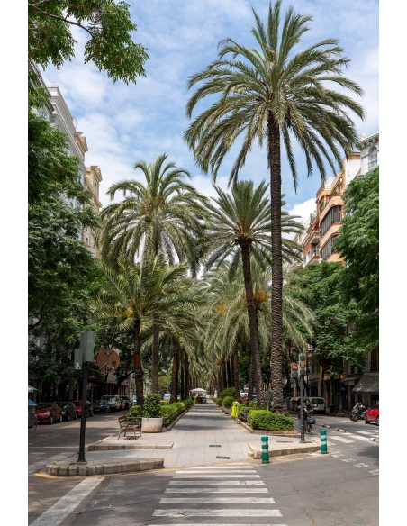 Tamron 35-150mm f/2-2.8 Di III VXD Nikon Z – zoom polyvalent