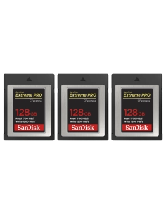 Order Nikon Z9 + 3x128GB CFx | In Stock Today Photo Order Nikon Z9 + 3x128GB CFx | In Stock Today Photo