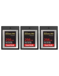 Nikon Z7 II Nu + 3 SanDisk 256GB Extreme PRO CFexpress Type B - Appareil Photo Hybride-1 2