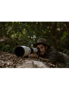Photographe en pleine nature, allongé avec un appareil photo, lumière douce à travers les feuille, capture au Sony Alpha 1 II