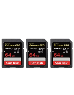 Nikon Z6 II + Z 24-70mm f/2.8 S + 3 SanDisk 64GB Extreme PRO UHS-II SDXC 300 MB/s-1 2