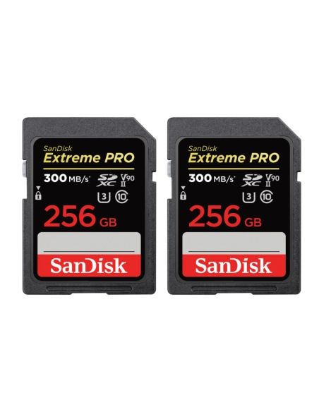 Nikon Zf + Z 24-70mm f/4 S + 2 SanDisk 256GB Extreme PRO UHS-II SDXC 300 MB/s Nikon CÁMARAS SIN ESPEJO 2.435,00 € MCZ DIRECT