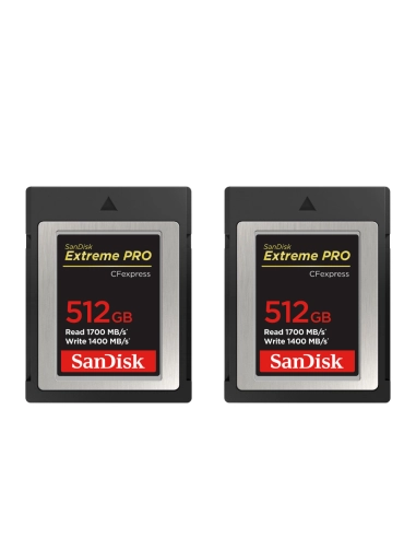 Nikon Z8 + Z 14-30mm f/4 S + 2 SanDisk 512GB Extreme PRO CFexpress Type B Nikon MIRRORLESS CAMERAS €3,796.00 MCZ DIRECT