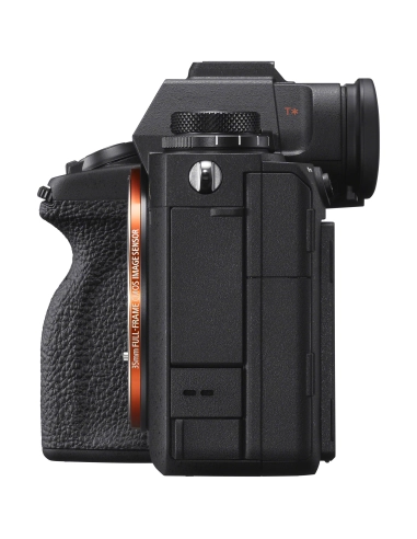 Sony A1 + 24-105mm f/4 G OSS