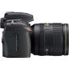 Nikon D750 + 24-120mm f/4 ED VR-9