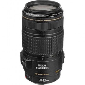 Canon EF 70-300mm f/4-5.6 IS USM-1