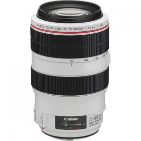 Canon EF 70-300mm f/4-5.6L IS USM-1