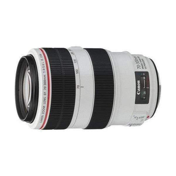 Canon EF 70-300mm f/4-5.6L IS USM-3