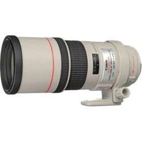Canon EF 300mm f/4L IS USM-1