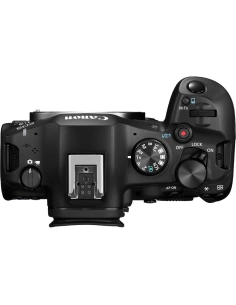 Canon EOS R6 Mark III + EF-EOS R + 2 LP-E6P