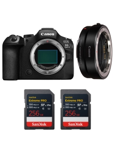 Canon EOS R6 Mark III + EF Adapter + 2×256GB