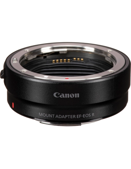 Canon EOS R6 Mark III + EF Adapter + 3×256GB
