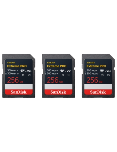 Canon EOS R6 Mark III + EF Adapter + 3×256GB