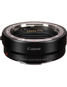 Canon EOS R6 Mark III + EF-EOS R + LP-E6P Canon EOS R6 Mark III + EF-EOS R + LP-E6P