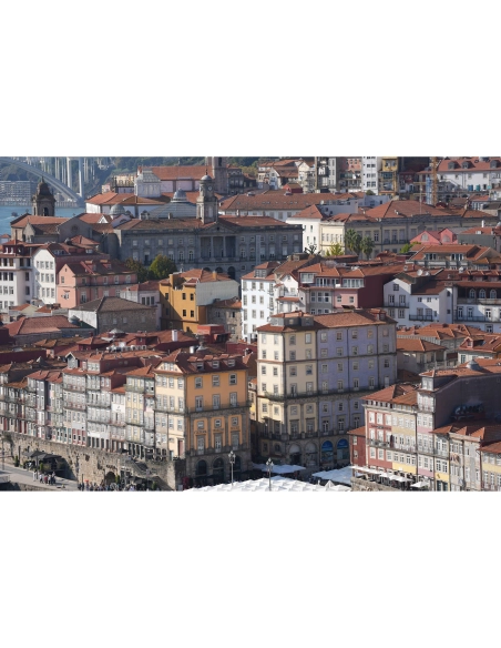 Sony A7 V – Full Frame Mirrorless Camera Pro