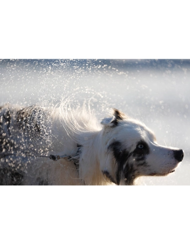 Sony Alpha 7 V – Cámara sin espejo Full Frame Sony CÁMARAS SIN ESPEJO 2.466,00 € MCZ DIRECT