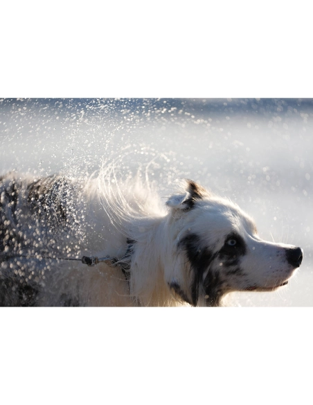 Sony Alpha 7 V – Appareil Hybride plein format pro