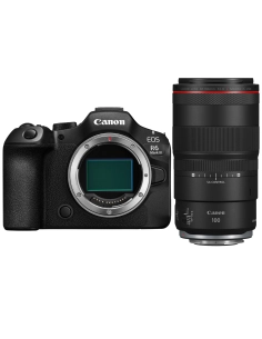 Canon EOS R6 III + RF 100mm f/2.8L Macro IS USM|MCZ DIRECT