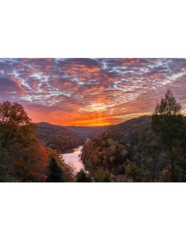 Canon R6 III + RF 10-20mm | Appareil Photo Hybride