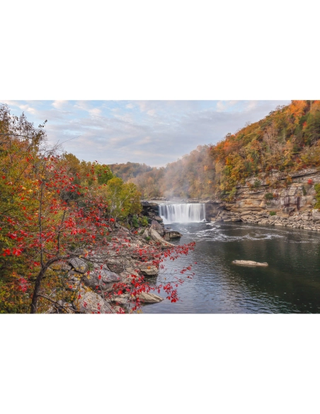 Canon R6 III + RF 10-20mm | Appareil Photo Hybride